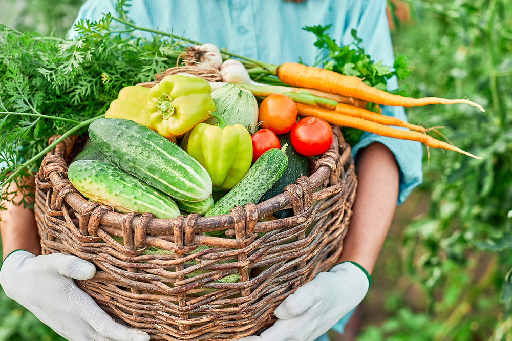 サンキョーヒカリの取り組み1